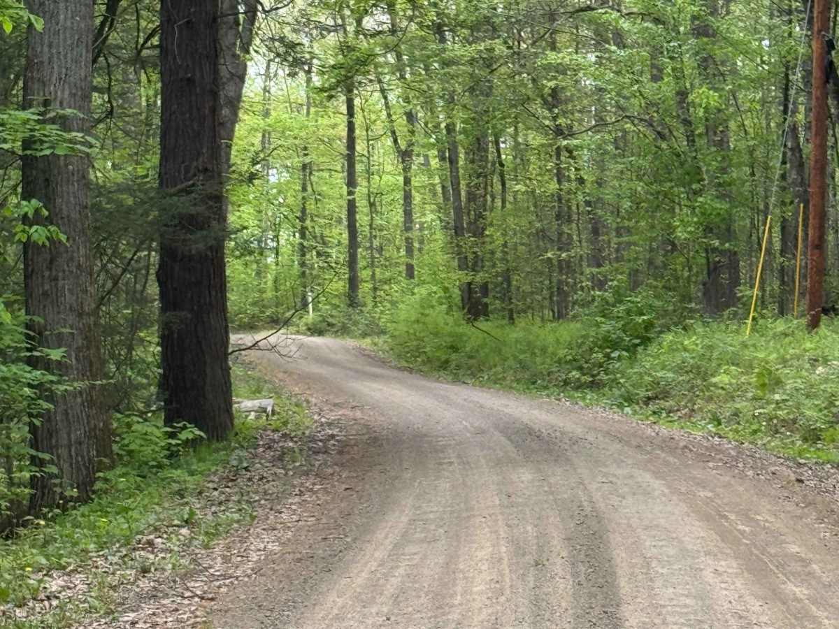 Spring Brook Road photo 6