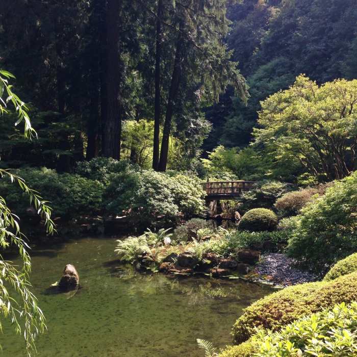 Near Japanese Garden Trail