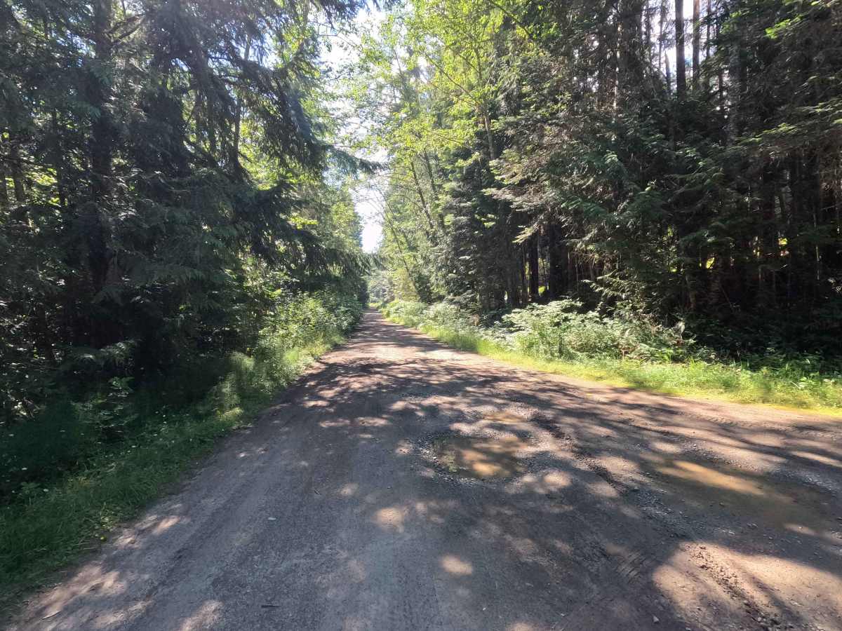 FS 2878080 trail photo