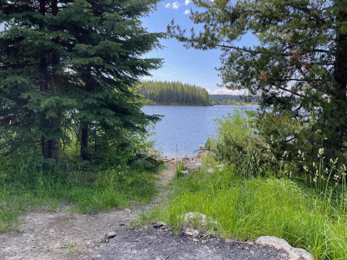 Grizzly FSR to Haddo Lake photo 6