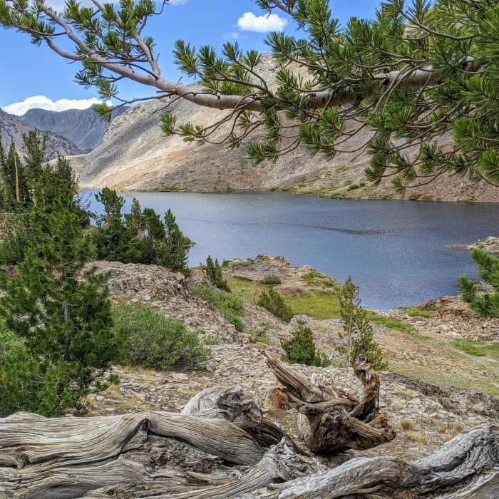 Near 20 Lakes Basin Loop Trail