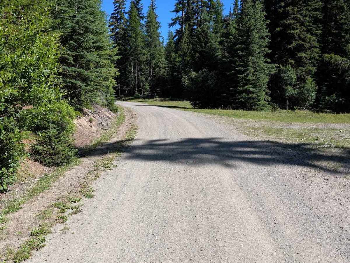Bald Butte Rd photo 2