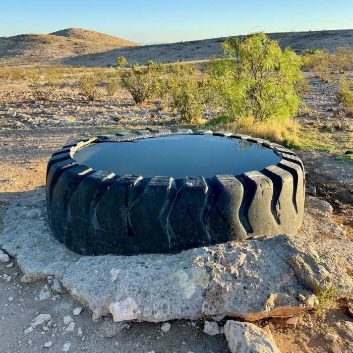 Near Continental Divide Trail: New Mexico Section 3