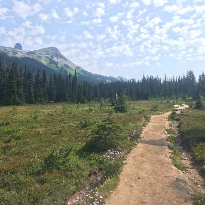 Near Garibaldi Lake Loop Via Taylor Meadows