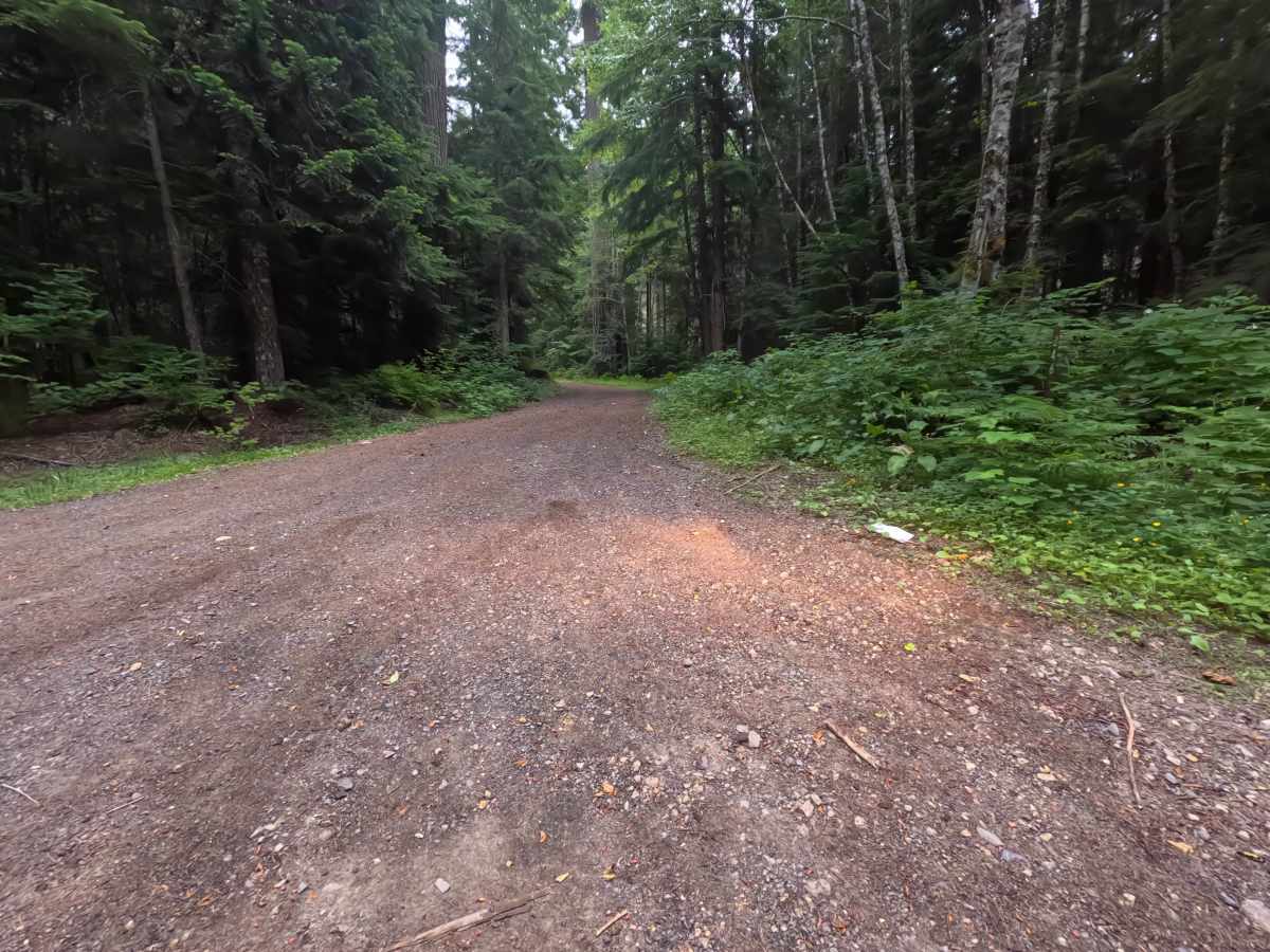 FS 2300246 trail photo