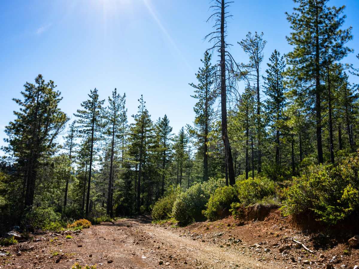 Black Jack Mine photo 3