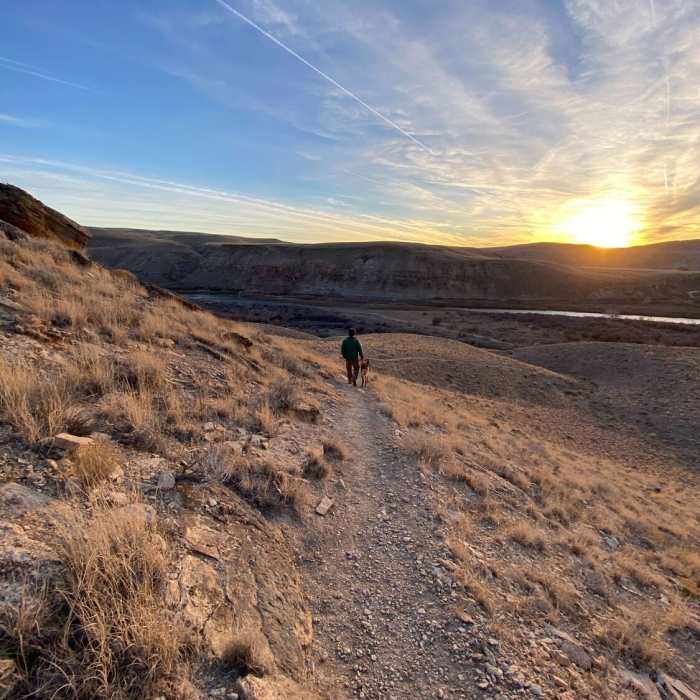 Near Eagle Rock Shelter Trail