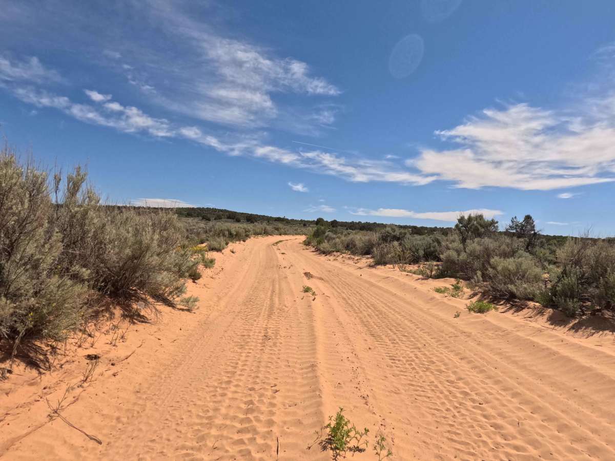 BLM 103A trail photo