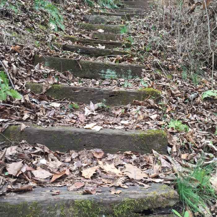 Near Sinking Waters Trail