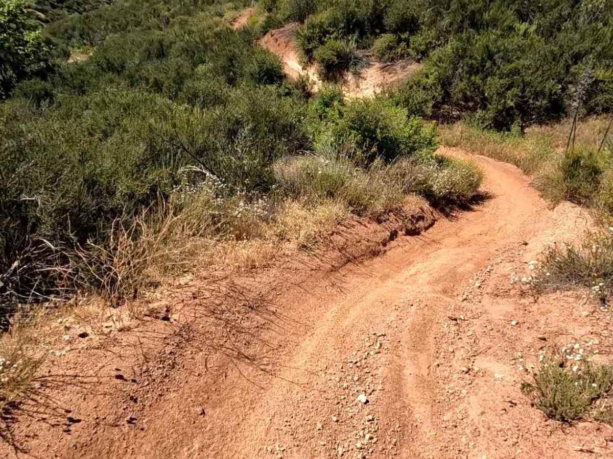 Flat OHV Trail photo 6