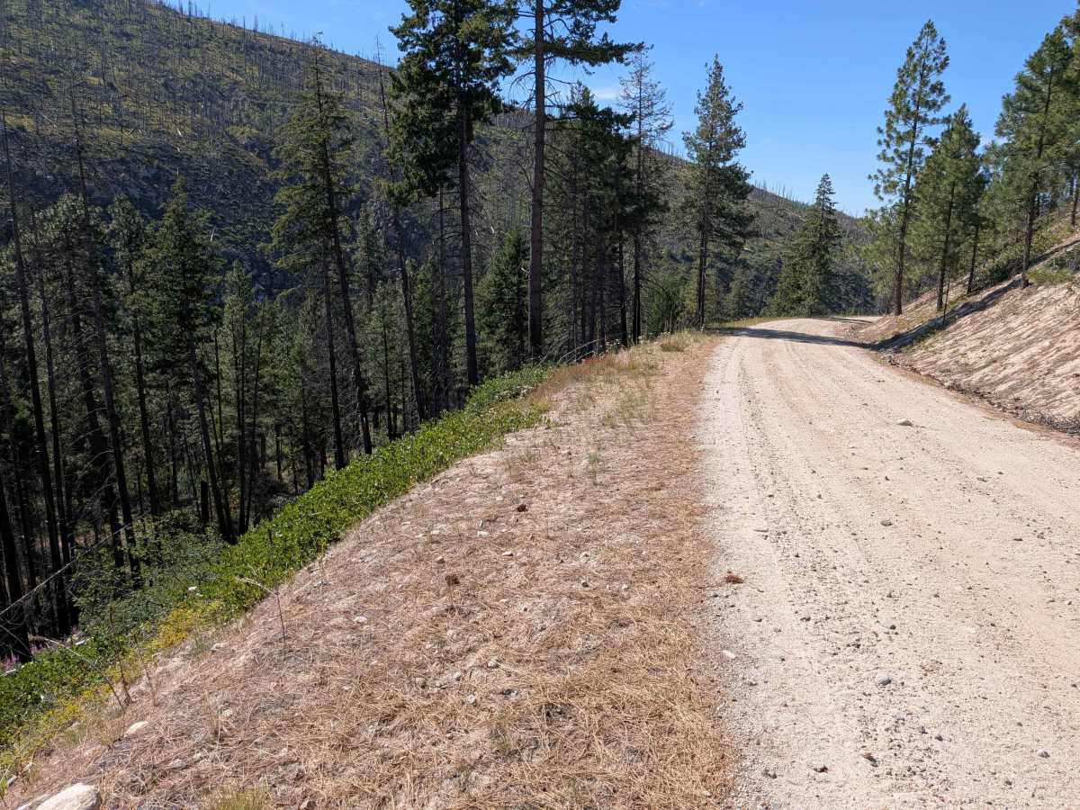 Rock Lakes Road trail photo