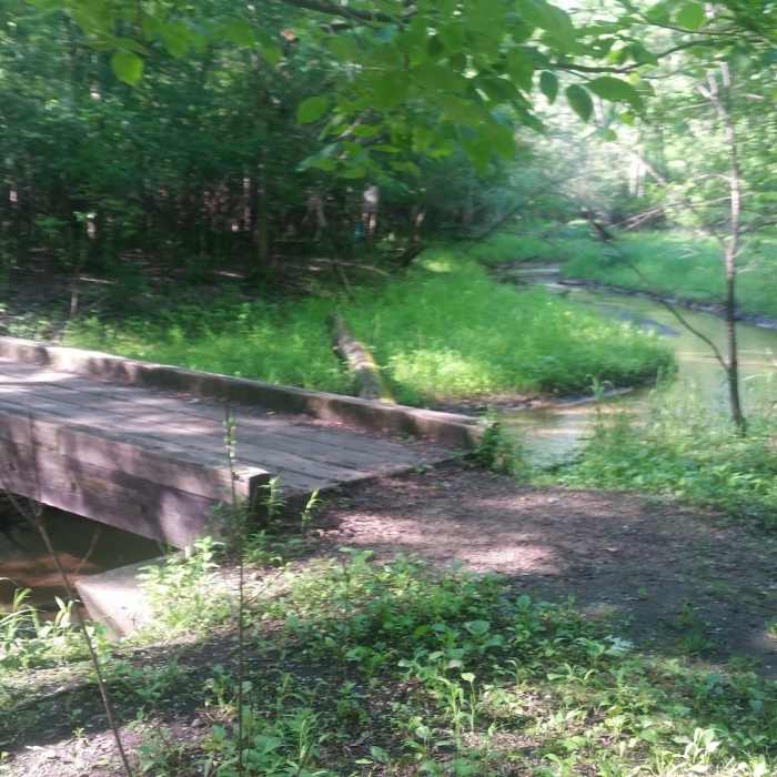 Bridge over Trout Brook near where it heads into the St. Croix Near Afton Tour North
