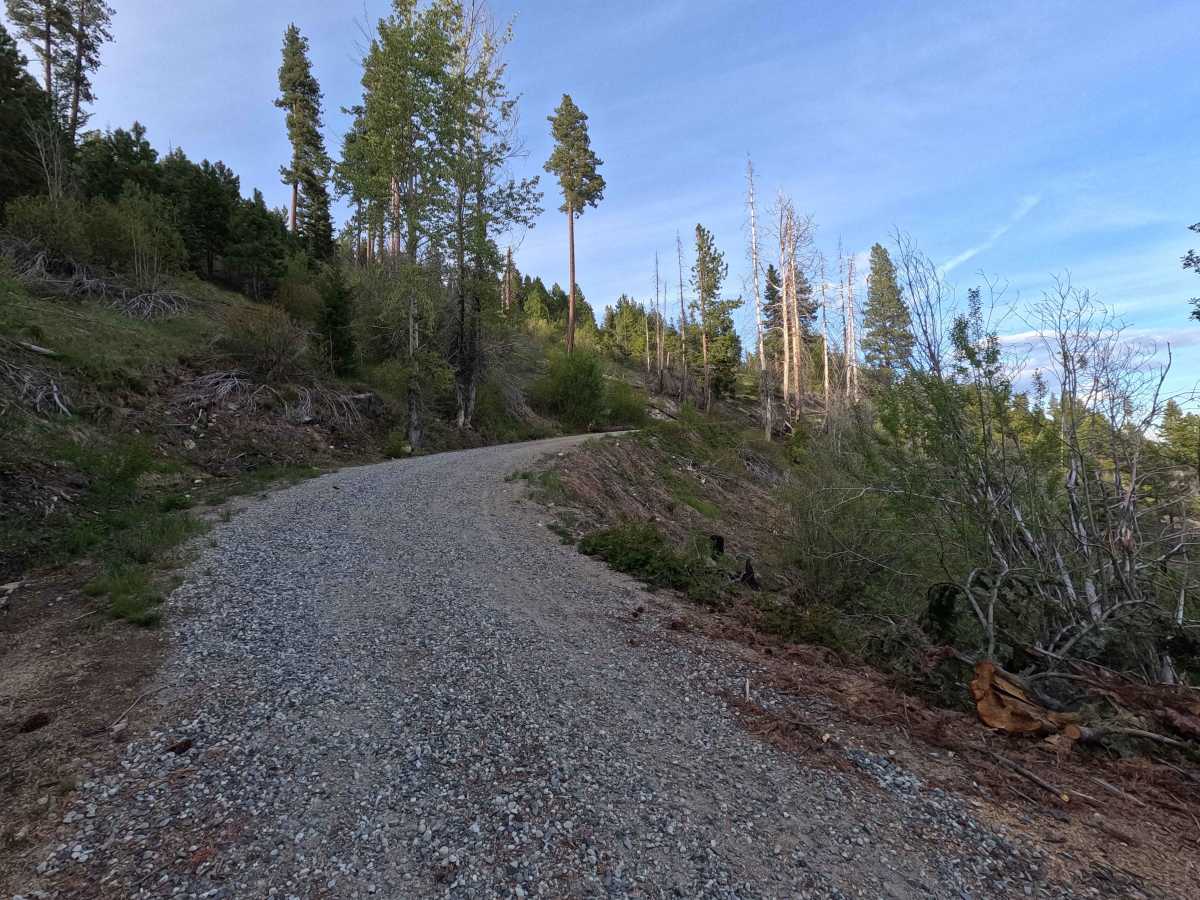 Tyee Lookout Road - FS 5713 photo 4