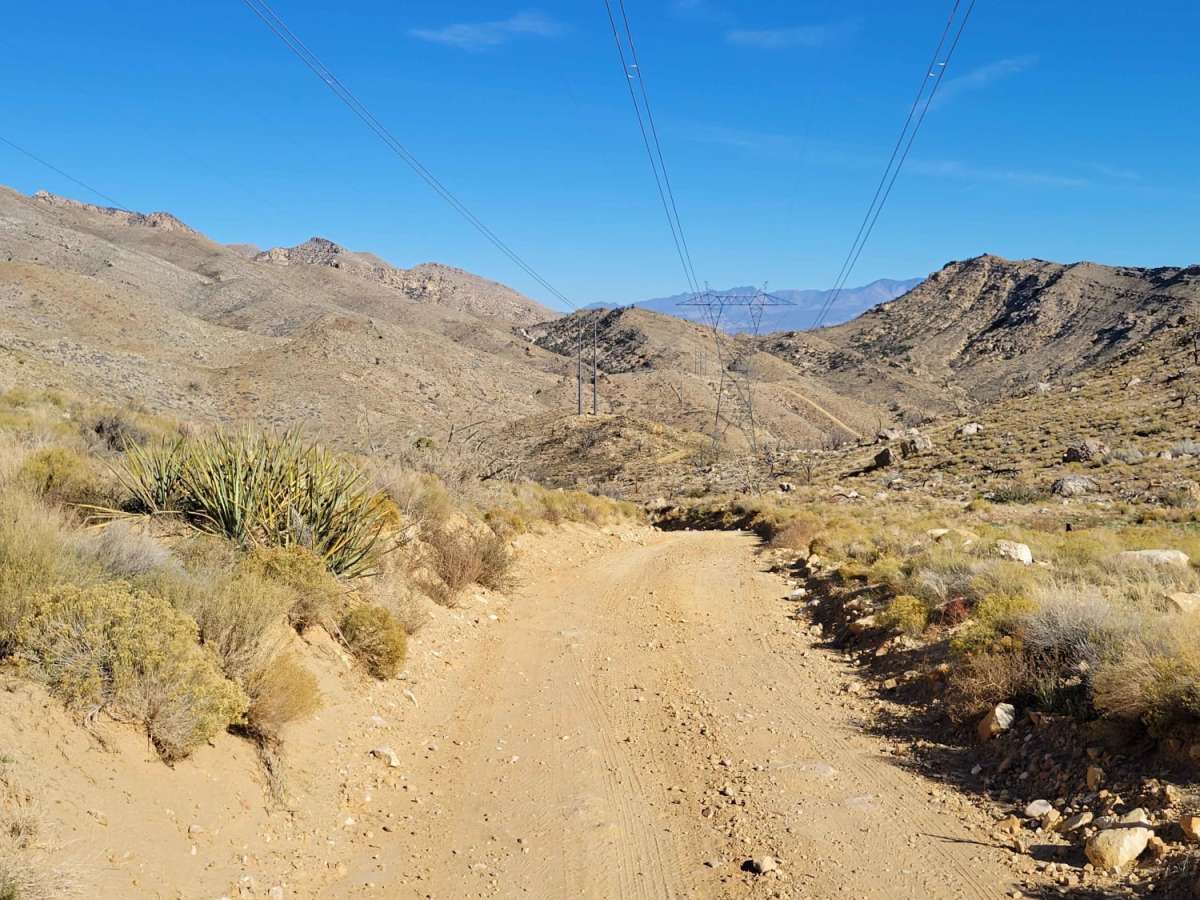 Joshua Tree Road trail photo