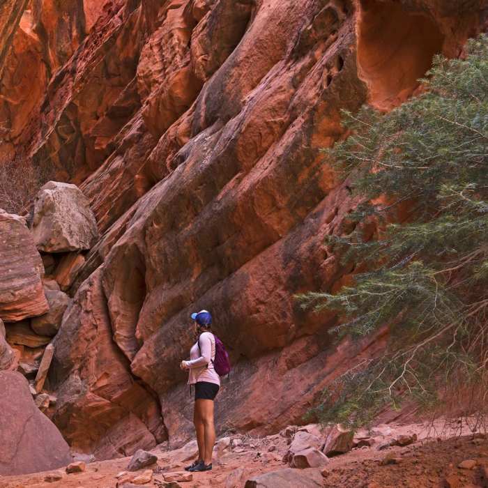 Near Spring Creek Canyon