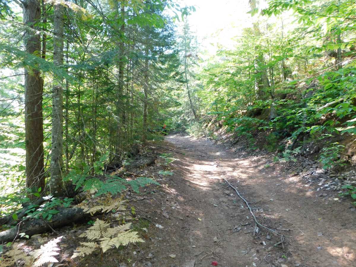 North Country Trail photo 5