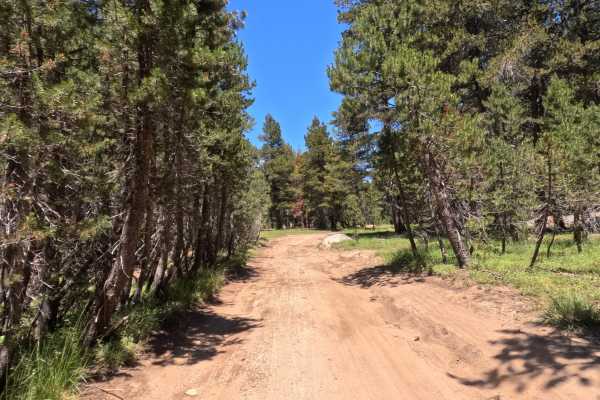 South Sucker Road - FS 11N26E