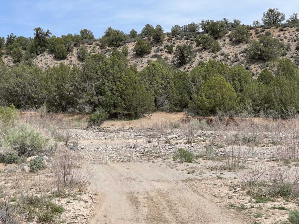 Dead End at Bowler Ranch trail photo