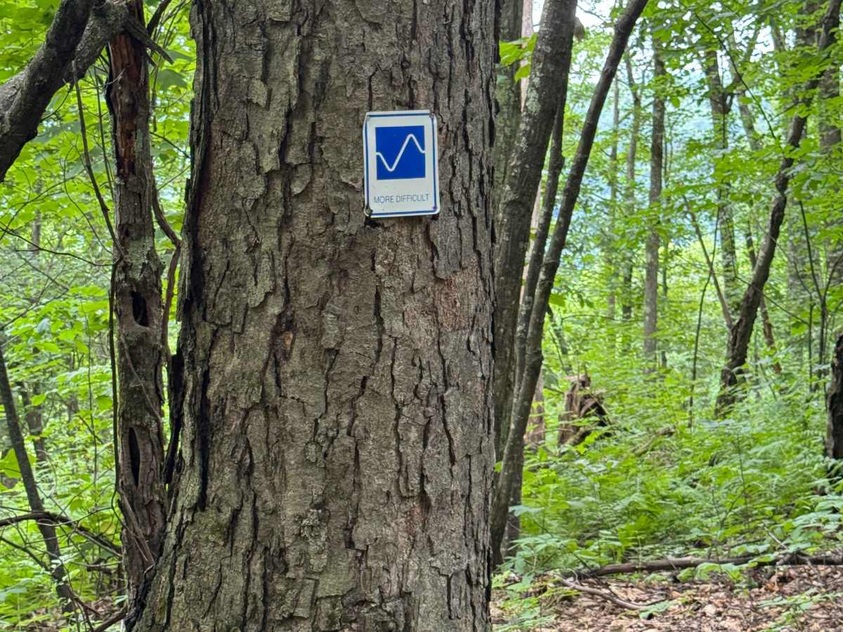 Trail 25 photo 2