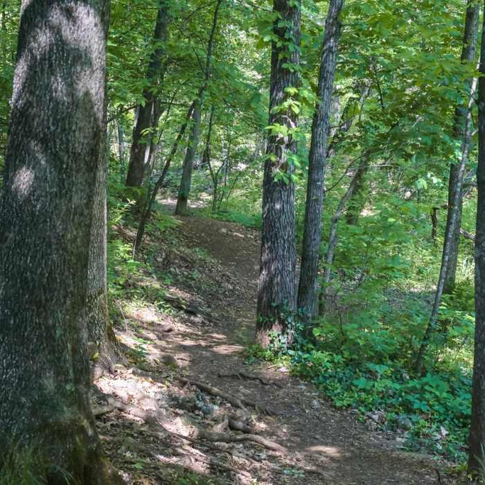 Near Waterfall Trail Near Waterfall Trail