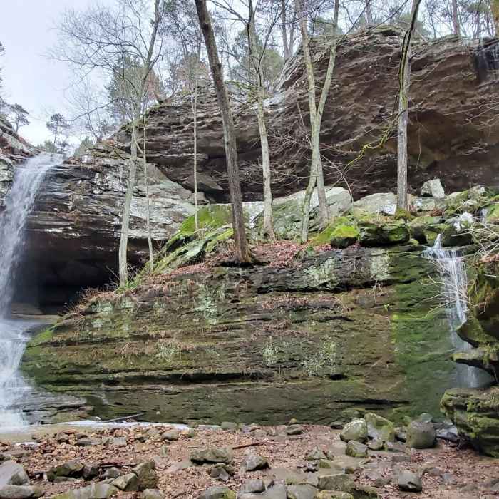 Near Waterfall Trail