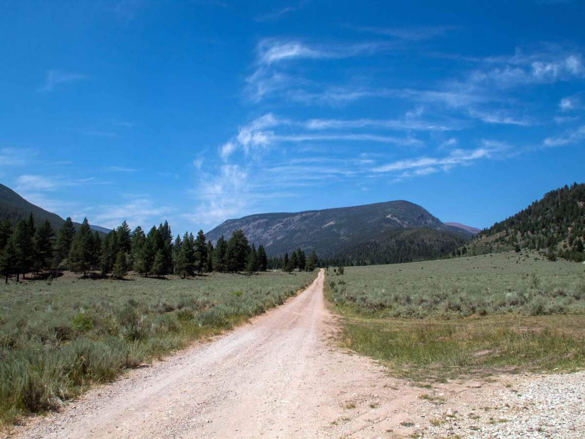 Upper Yellowstone - FS 10124 photo 3