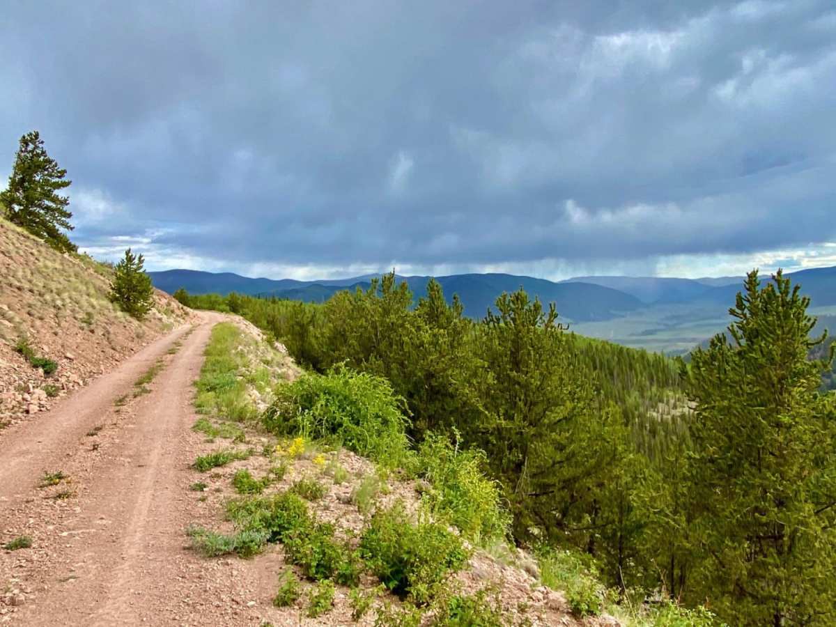 Middle Rat Creek Road - NF 504-1B photo 5