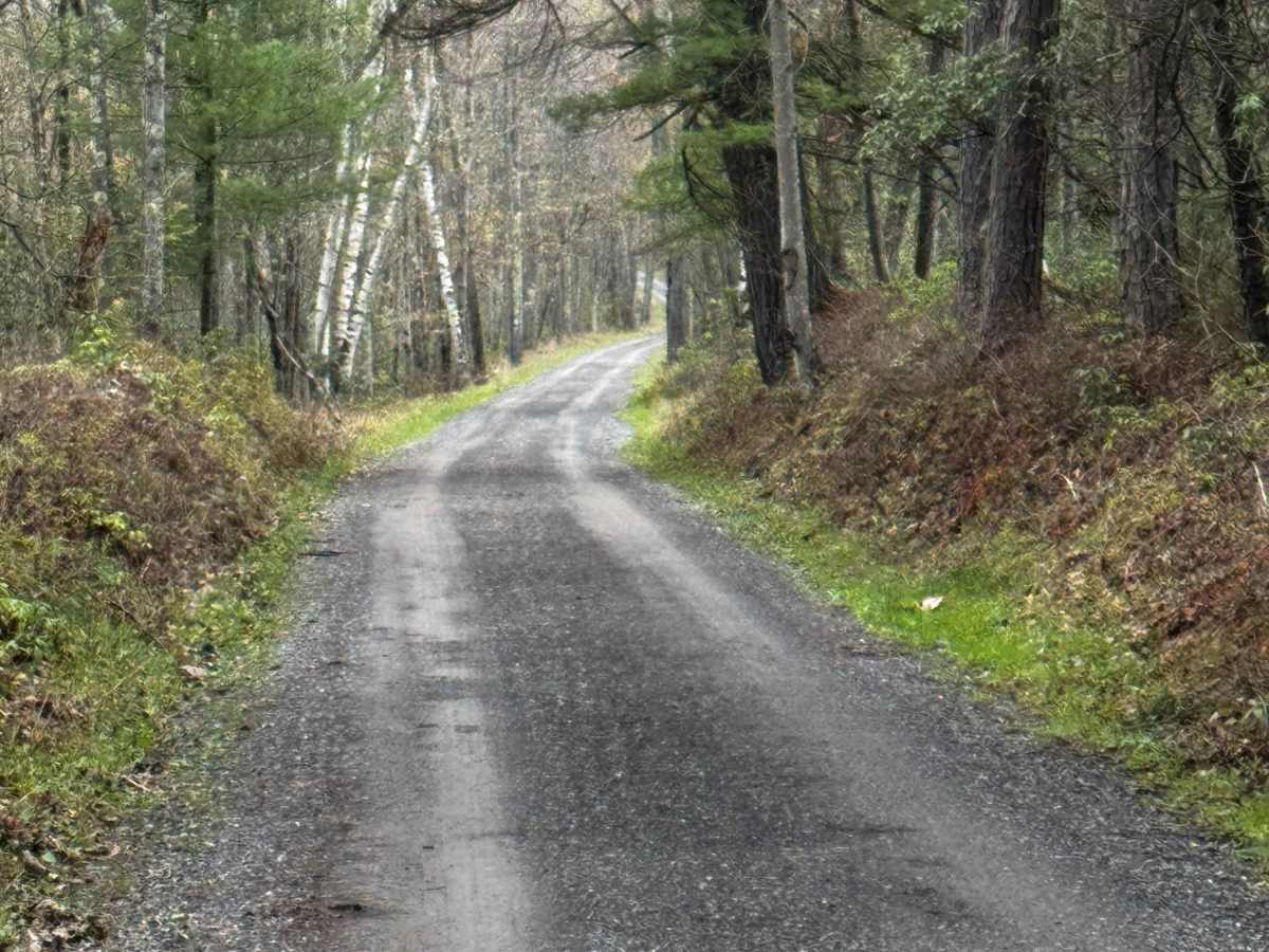 Manor Fork Road photo 5