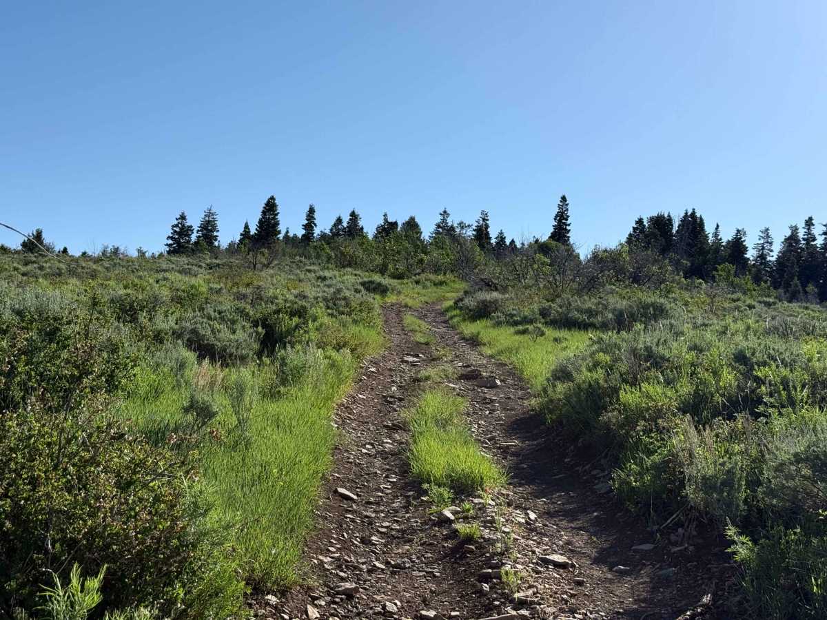 Death Hollow - 50148 photo 4