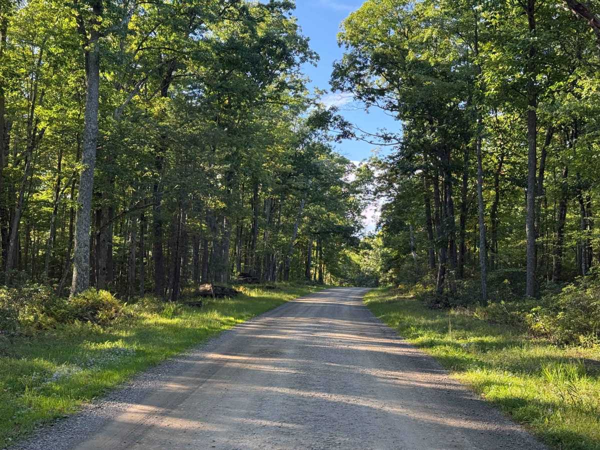 Old State Road - FS 157 photo 2