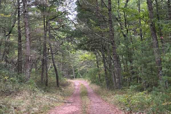 Fulk Mountain