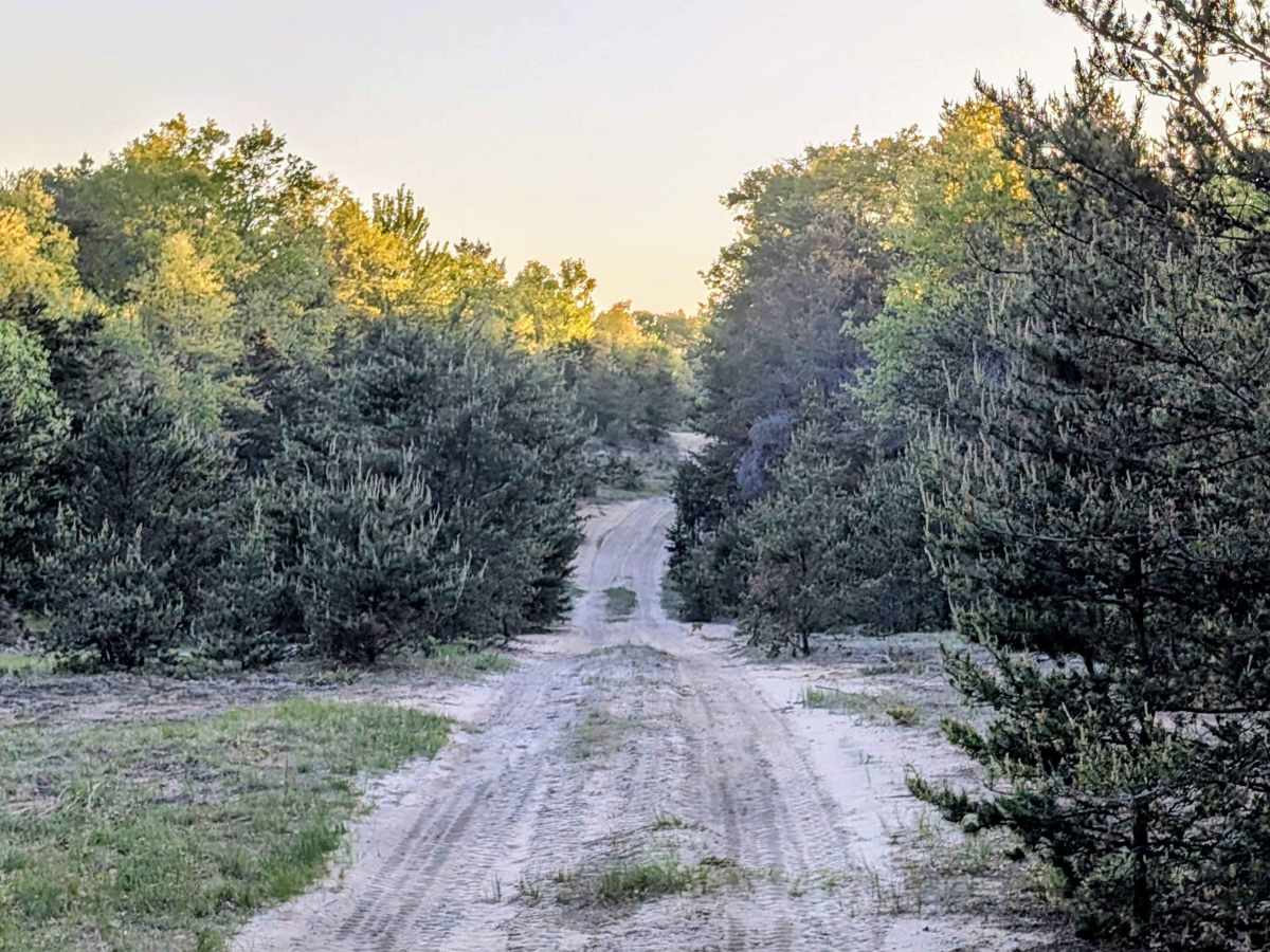 Portage - Tank Trail photo 5