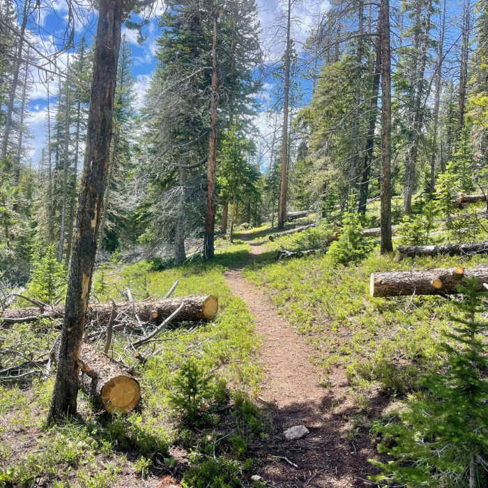 Near Continental Divide Trail: Colorado Section 39