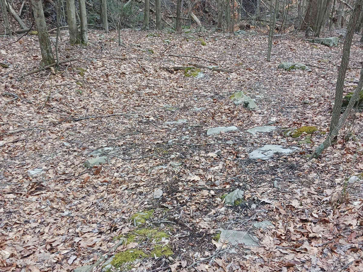 OHV 61 - Rock Run Recreation Area photo 2