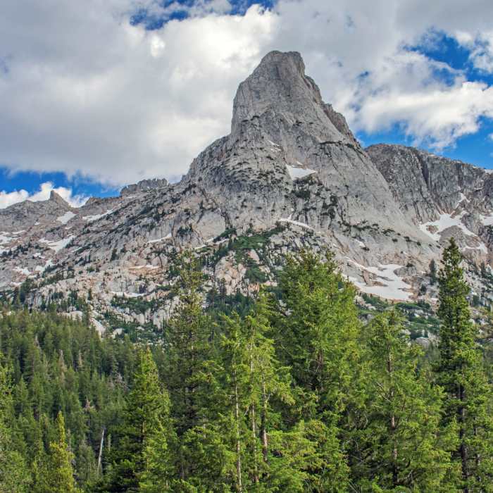 Near Tower Lake Trail