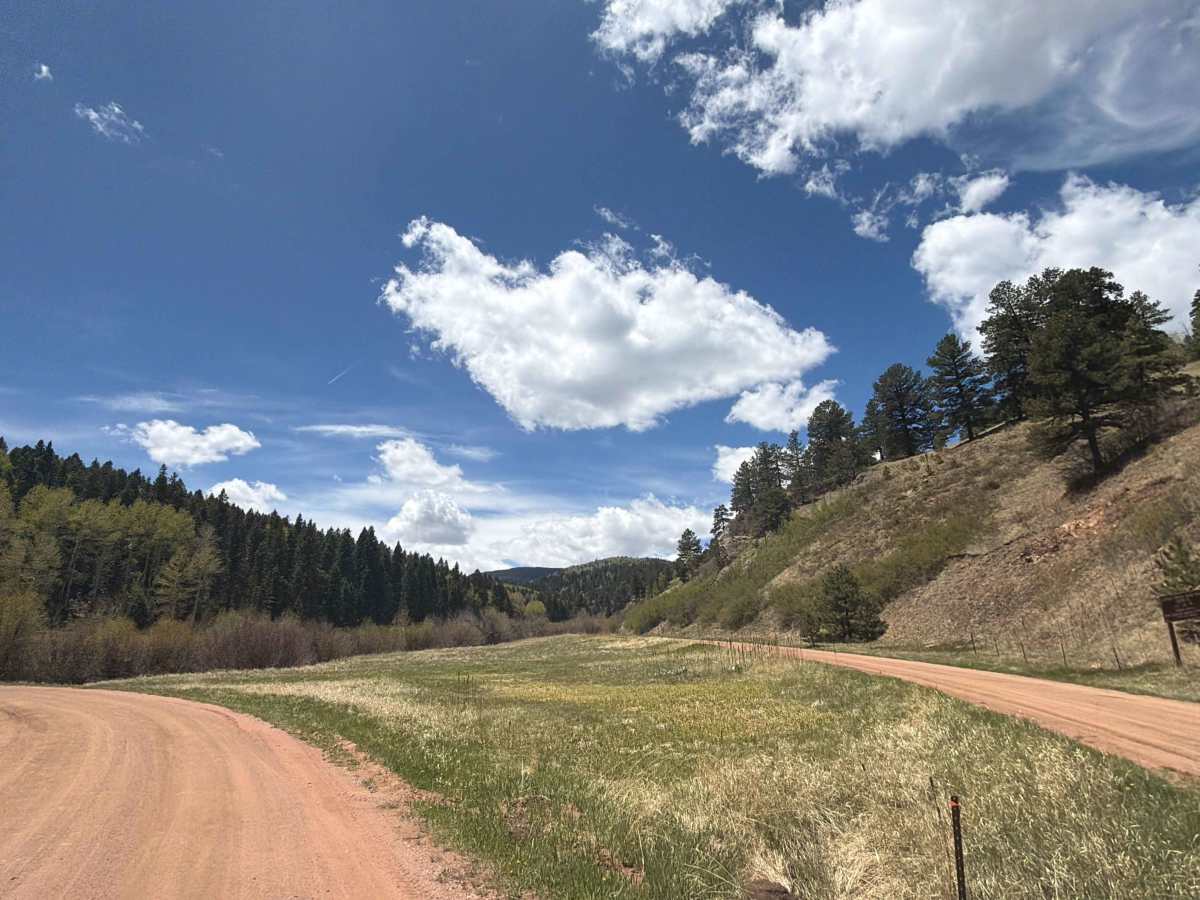 Ophir Creek Road photo 3