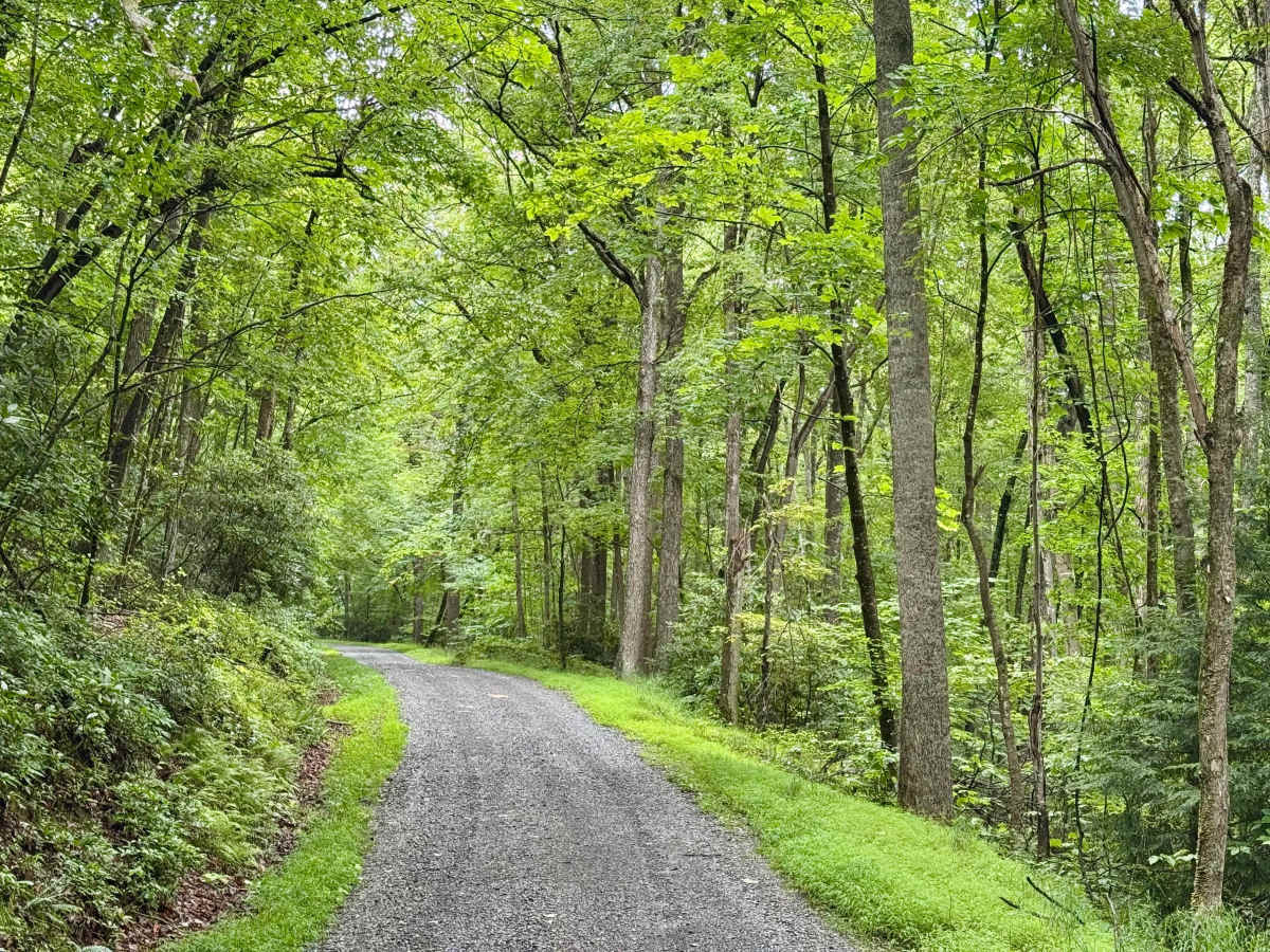 Sawyer Run - FS 735 photo 4