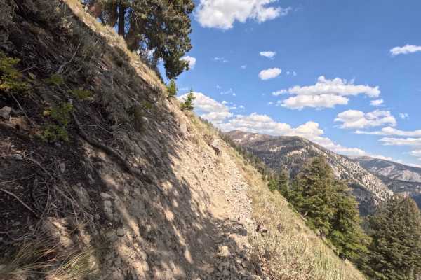 Paradise Creek - FS 7070