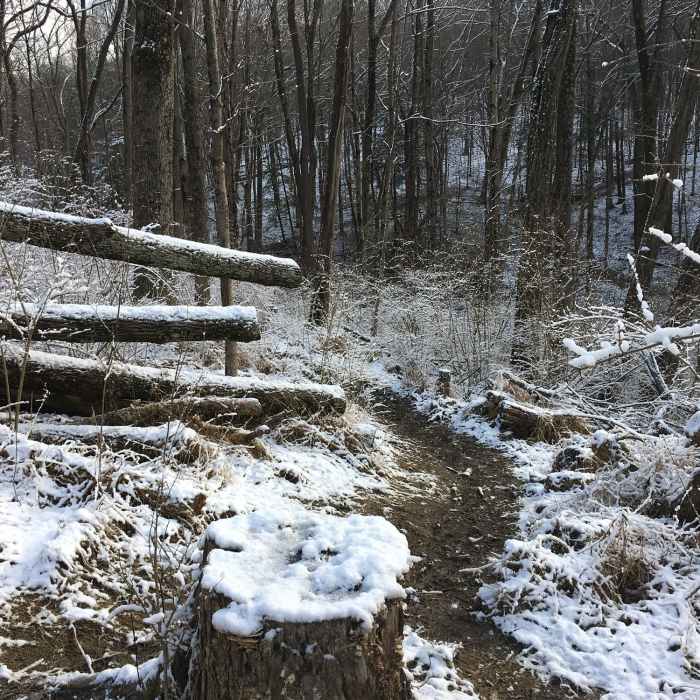 Near Mt. Airy Sampler Pack