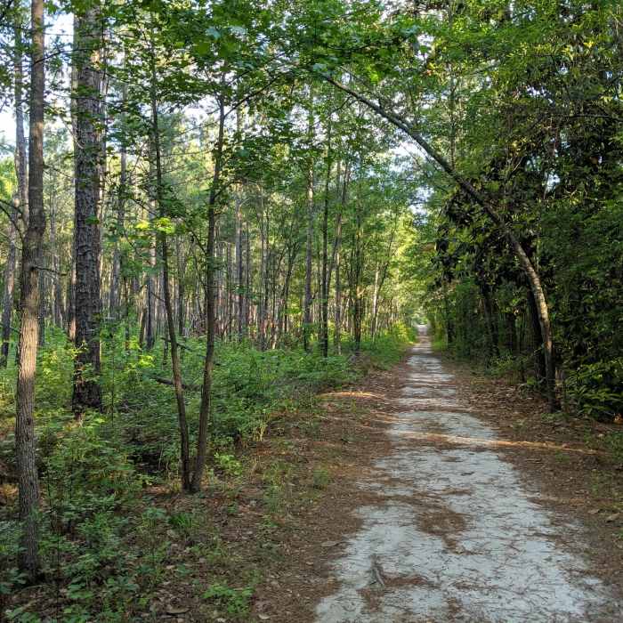 Near Rockefeller Loop Trail