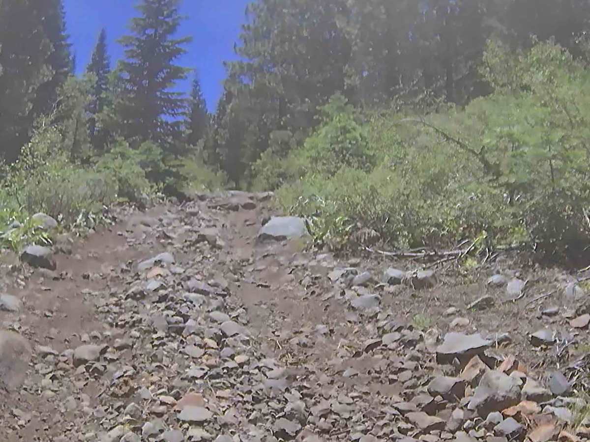Highway 88 Trail - FS 21564 photo 4