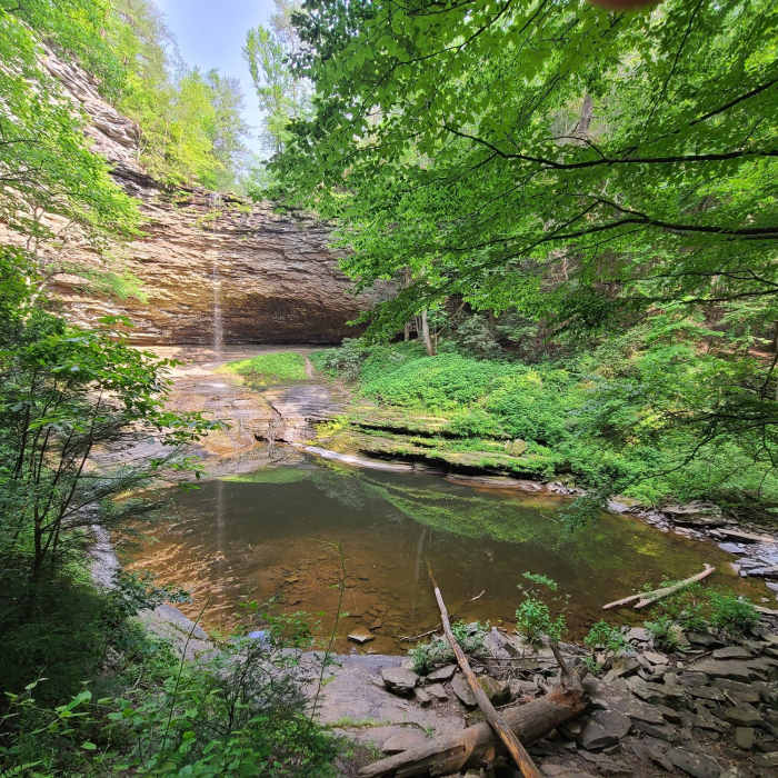 Near Piney Falls Loop