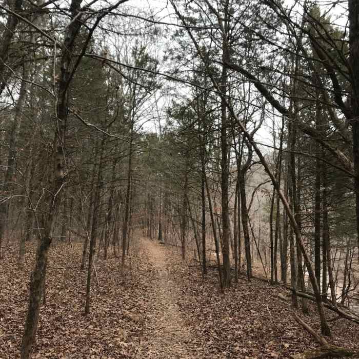 Fossil Flats Near Fossil Flats Trail