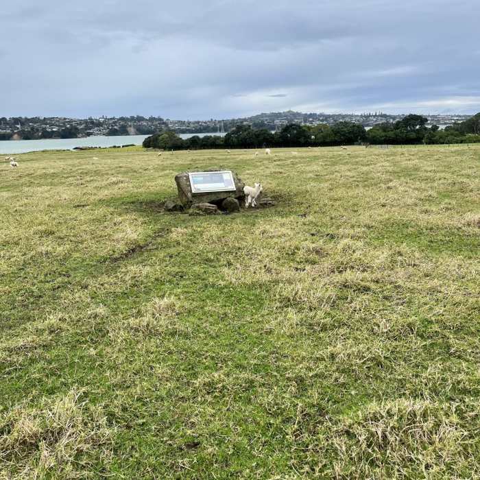Near Ambury Foreshore Path Near Ambury Foreshore Path