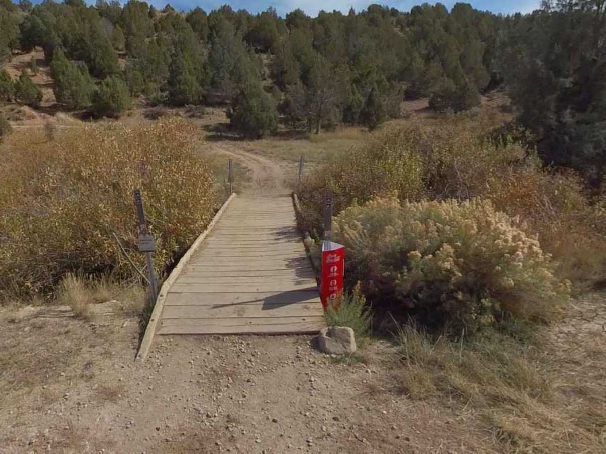 Starvation WMA Poleline photo 2