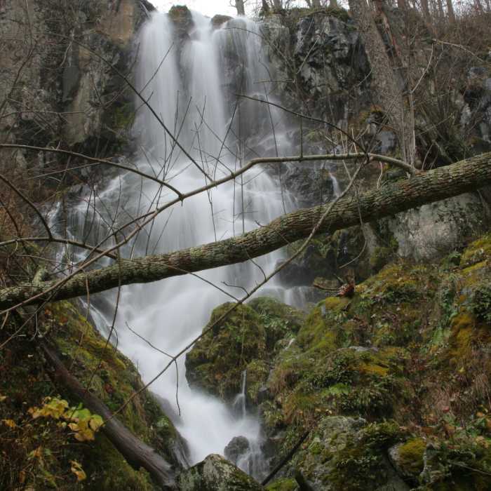 Near Lewis Falls Trail