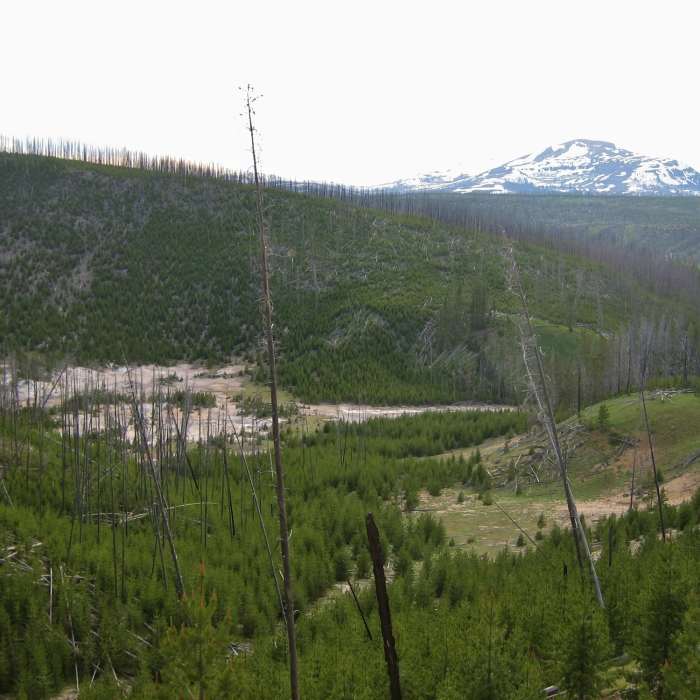 Near Solfatara Creek Trail