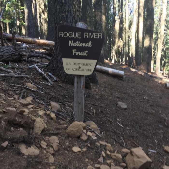 Near Pacific Crest Trail: Oregon Section B - Highway 5 to Highway 140 (near Fish Lake)