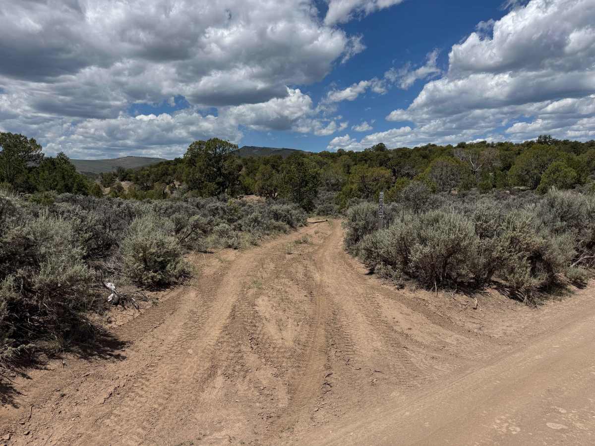 BLM 8473 photo 4