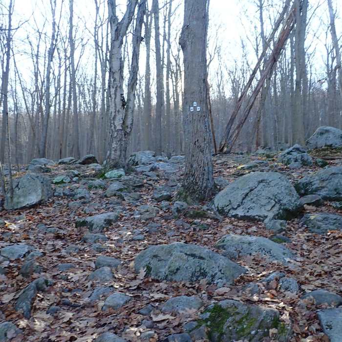 Near Diamond Mountain via Seven Hills Trail